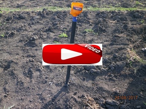Видео: приблуда для посадки чеснока лука тыквы и так далее