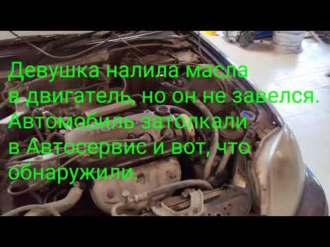 Видео: Четыре уровня масла