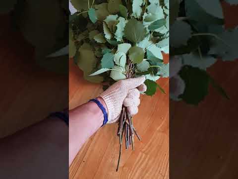 Видео: Осиновый веник, сборка.