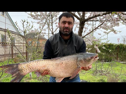 Видео: Топ Три Рецепта Блюд Как на Праздник Так и на Каждый День 👍 Еда Огонь 🔥