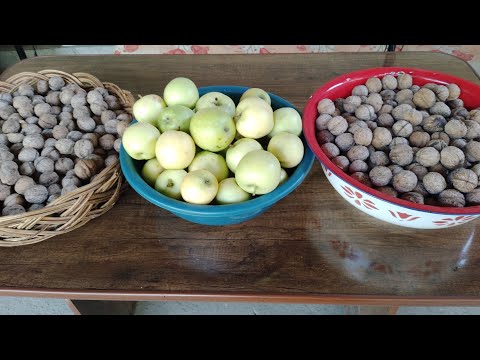 Видео: КАНДАЙ  ЮМУШЛАР  БИЛАН  БАНДМАН🍏🍏🍏🍏🌰🌰🌰🌰🍎🍎🍎🍎