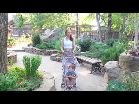 Видео: Мы в Парке Лога | We are in Park Loga