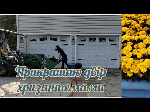 Видео: Приємна робота у дворі. Знайшла собі гарні горщики, довелося купити і хризантеми до них.