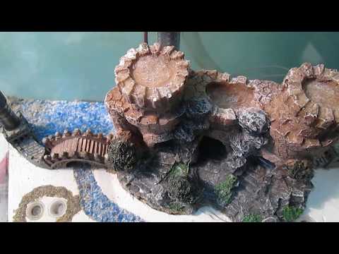 Видео: Ремонт самодельного заселённого формикария.