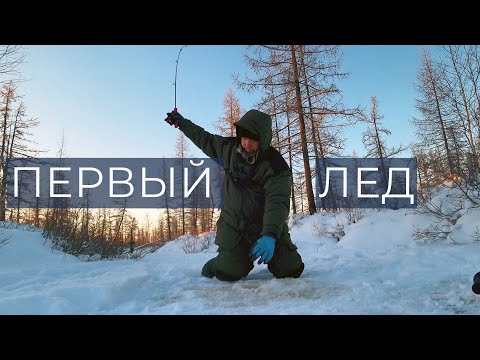 Видео: Щучий ручей возле города. Первый лед 2022-2023 DF 84