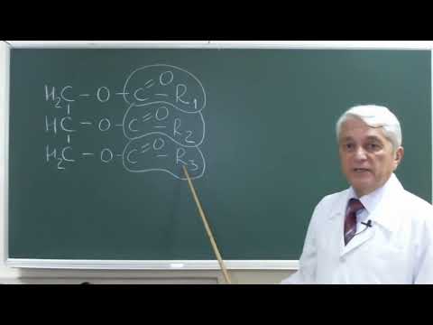 Видео: 11:30-13:00 Липиды Часть 1