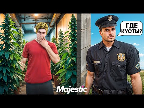 Видео: СПРЯТАЛ КУСТЫ ГРИН от ГОСНИКОВ на GTA 5 RP MAJESTIC