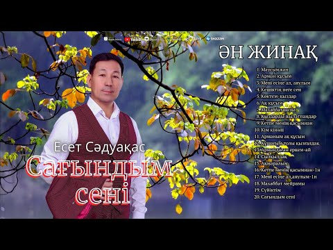 Видео: Бұл әнді тыңдай бергің келеді Есет Сәдуақасов - "Сағындым сені" әндер жинағы