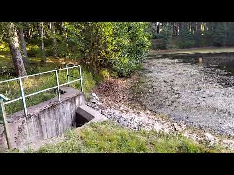 Видео: В лесу после урагана.