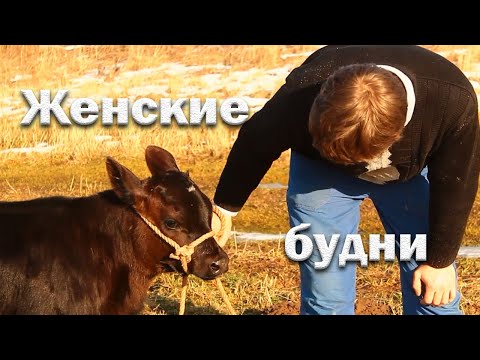 Видео: ЖБ/уволилась с работы//гуляем с телкой//рассада