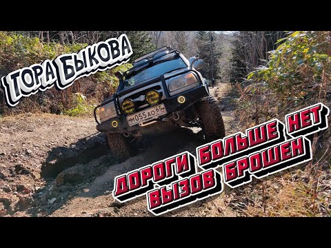 Видео: Гора Быкова, 2023 l Дороги больше нет! l Off Road Сахалин