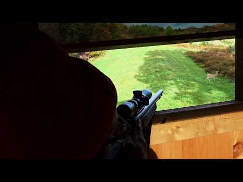 Видео: ДАВАЙТЕ НАЧНЕМ СТРЕЛЬБУ! Охота на оленей в Пенсильвании 2025 — начало шестого сезона дульнозарядн...