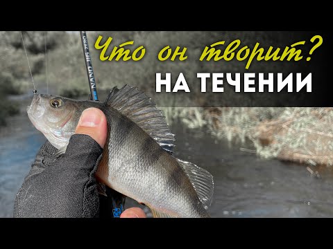 Видео: ЭТОТ Спиннинг МАГНИТИТ ОКУНЕЙ! Mifine Nano jig Zero Travel Mode: Мормышинг на перекатах реки!