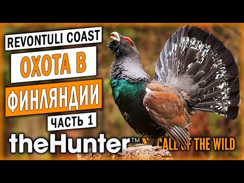 Видео: ОХОТА НА ГЛУХАРЯ! НОВЫЙ ЗАКАЗНИК "ПОБЕРЕЖЬЕ РЕВОНТУЛИ"! | theHunter Call of the Wild 🦆 | (часть 1)