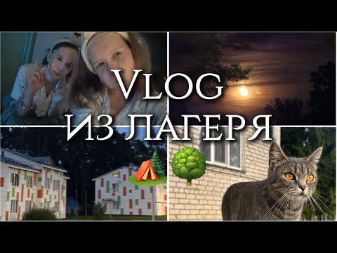 Видео: VLOG ИЗ ЛАГЕРЯ || 🌳🏕️