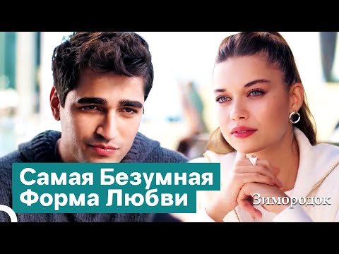 Видео: Каждый День Мы Становимся Все Больше Похожи Друг На Друга | Зимородок