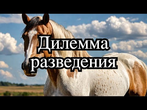 Видео: Стоит ли смешивать породы КРС?