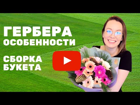 Видео: Гербера, особенности работы // флористика для начинающих