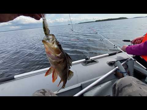 Видео: Карелия. Выгозеро .малый Янец