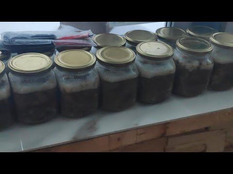 Видео: Домашняя тушёнка из козлятины /Homemade goat stew.