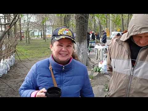 Видео: Выставка цветов г. Ростов-на-Дону в. парке им В. Черевичкина.