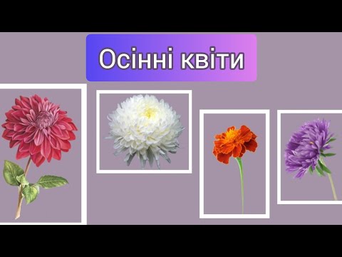 Видео: "Осінні квіти". Дитина в природному довкіллі. Середній вік