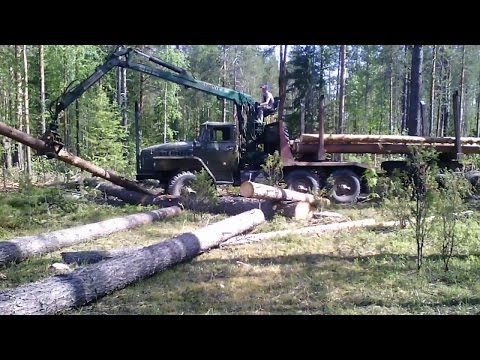 Видео: Изобретение ЧЁРНЫХ ЛЕСОРУБОВ Загрузка леса с пасеки