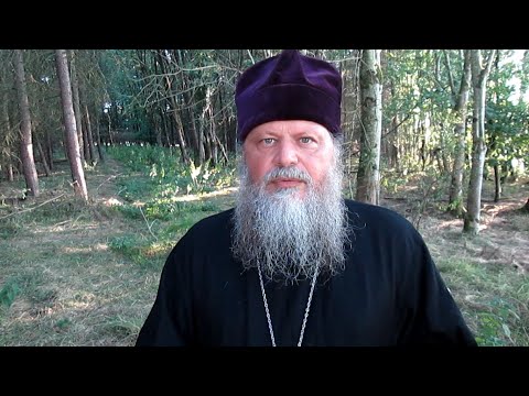 Видео: НИКТО НЕ МОЖЕТ ИЗБЕЖАТЬ ДУХОВНОЙ БОЙНИ