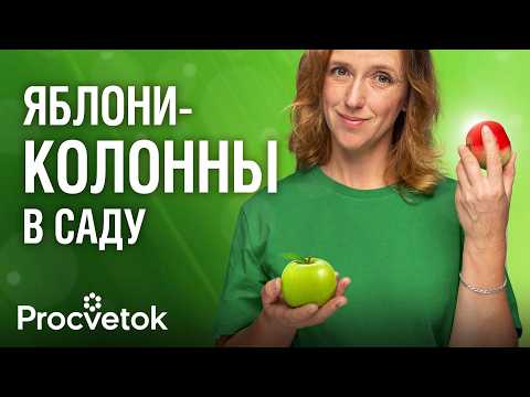 Видео: ВСЁ, ЧТО ВЫ ХОТЕЛИ ЗНАТЬ О КОЛОННОВИДНЫХ ЯБЛОНЯХ! Обзор сортов, особенности выращивания