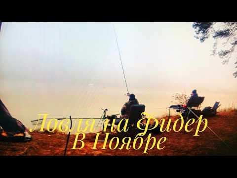 Видео: ТУМАН.ХОЛОДНО. А ОНА ВСЁ РАВНО КЛЮЁТ! ФИДЕРНАЯ РЫБАЛКА НА ВОДОХРАНИЛИЩЕ.