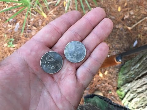 Видео: Манок для белки в четверть часа! Как позвать белок!