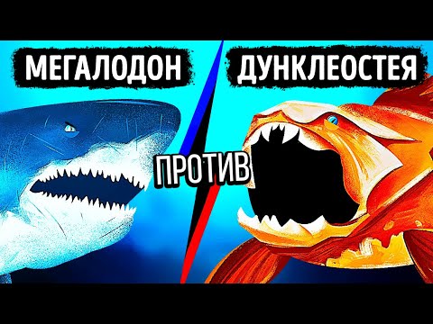 Видео: Что, если бы мегалодон встретил рыбу с самым сильным укусом