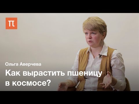 Видео: Выращивание растений под светодиодами — Ольга Аверчева