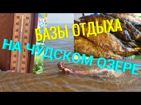 Видео: Базы Отдыха на Чудском Озере🏕️ Рыба в Чудском Озере🐠Мы из Эстонии.Влог