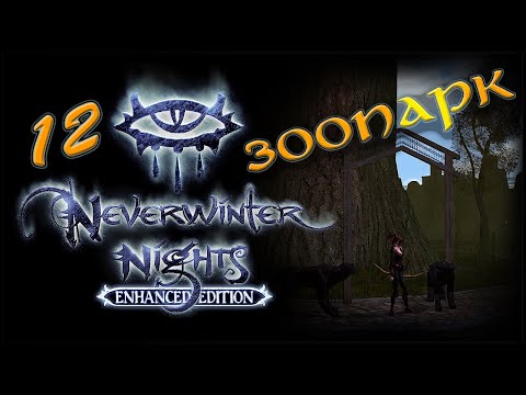 Видео: NWN Enhanced Edition #12 «Чёрное Озеро»