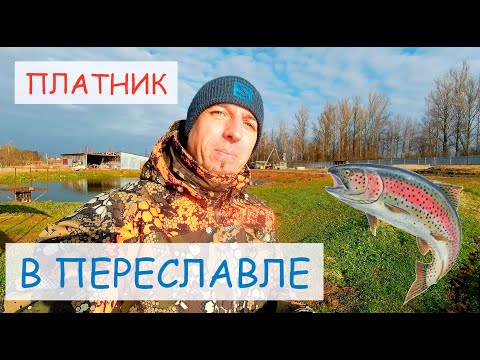 Видео: Платник в Переславле