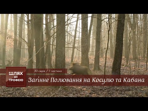 Видео: Загінне Полювання на Косулю та Кабана. Ч.1  | Шлях до Трофею №30