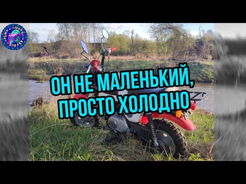 Видео: Обзор. Honda Gorilla Мопед который невозможно не любить