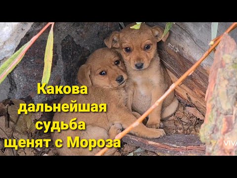 Видео: Малыши с Мороза отправились в Москву😍