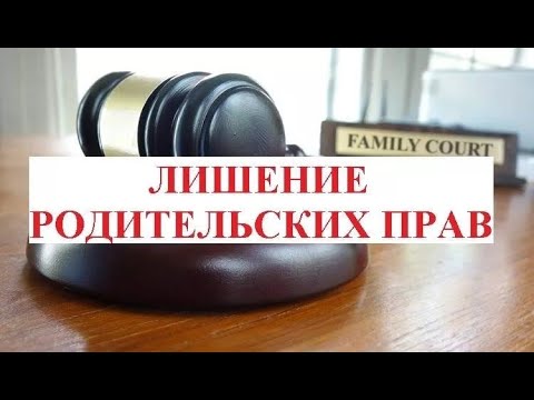 Видео: Суд по лишению родительских прав № 2