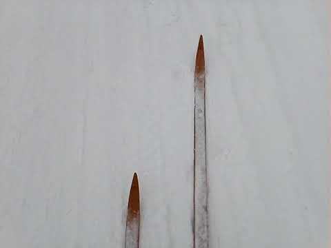 Видео: Обед бомжа в лесу за 40 рублей.