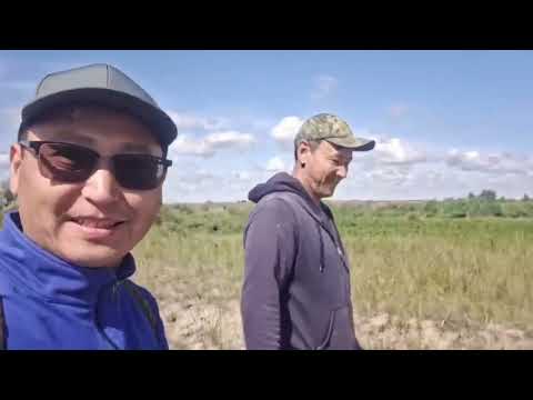 Видео: 40 шақырым