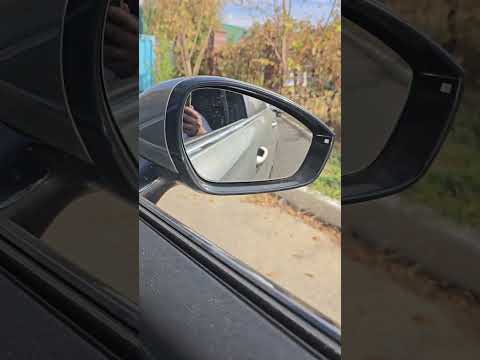 Видео: 2 ноября 2025 г.