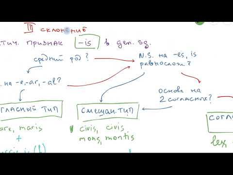 Видео: Латинский. Урок 7. Определяем тип третьего склонения