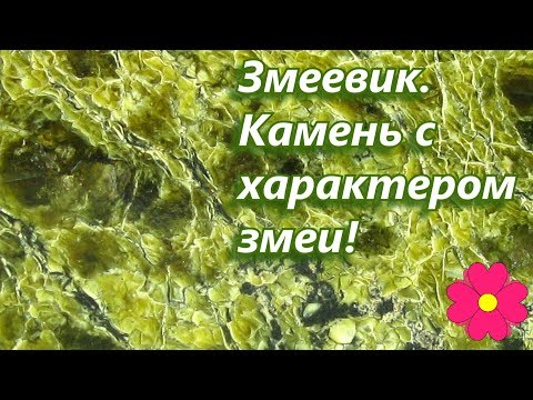 Видео: Змеевик. Камень с характером змеи!