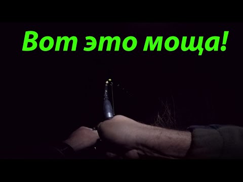 Видео: Ловля сома на выползка в Апреле 2019