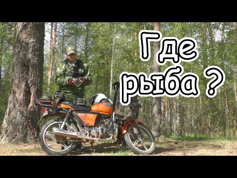 Видео: Рыбалка | Покатуха | Кофе | Новый нож |