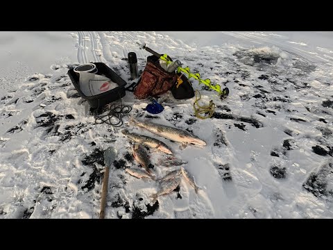 Видео: Рыбалка на жерлицы .Аргазинское водохранилище.