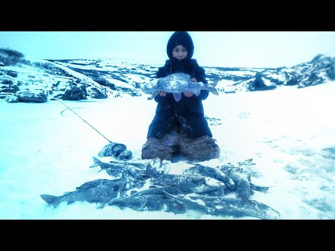 Видео: ОСТАНОВИСЬ КУДА СТОЛЬКО! В ДОЛИНЕ СМЕРТИ ПОСЛЕДНЯЯ РЫБАЛКА БЛОГЕРА В ЗАПОЛЯРЬЕ!