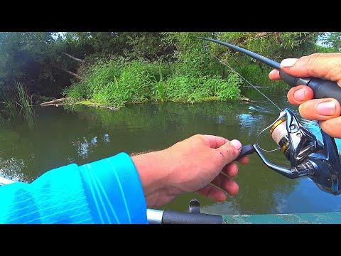 Видео: ЩУКА АТАКОВАЛА ПОЙМАННУЮ РЫБУ! Рыбалка на спиннинг сплавом! Ловля щуки, голавля, подъязка на блесну!